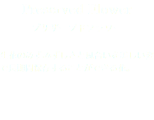 Preserved Flower プリザーブドフラワー 生花のみずみずしさと風合いを美しい姿で長期間保存することができる花。